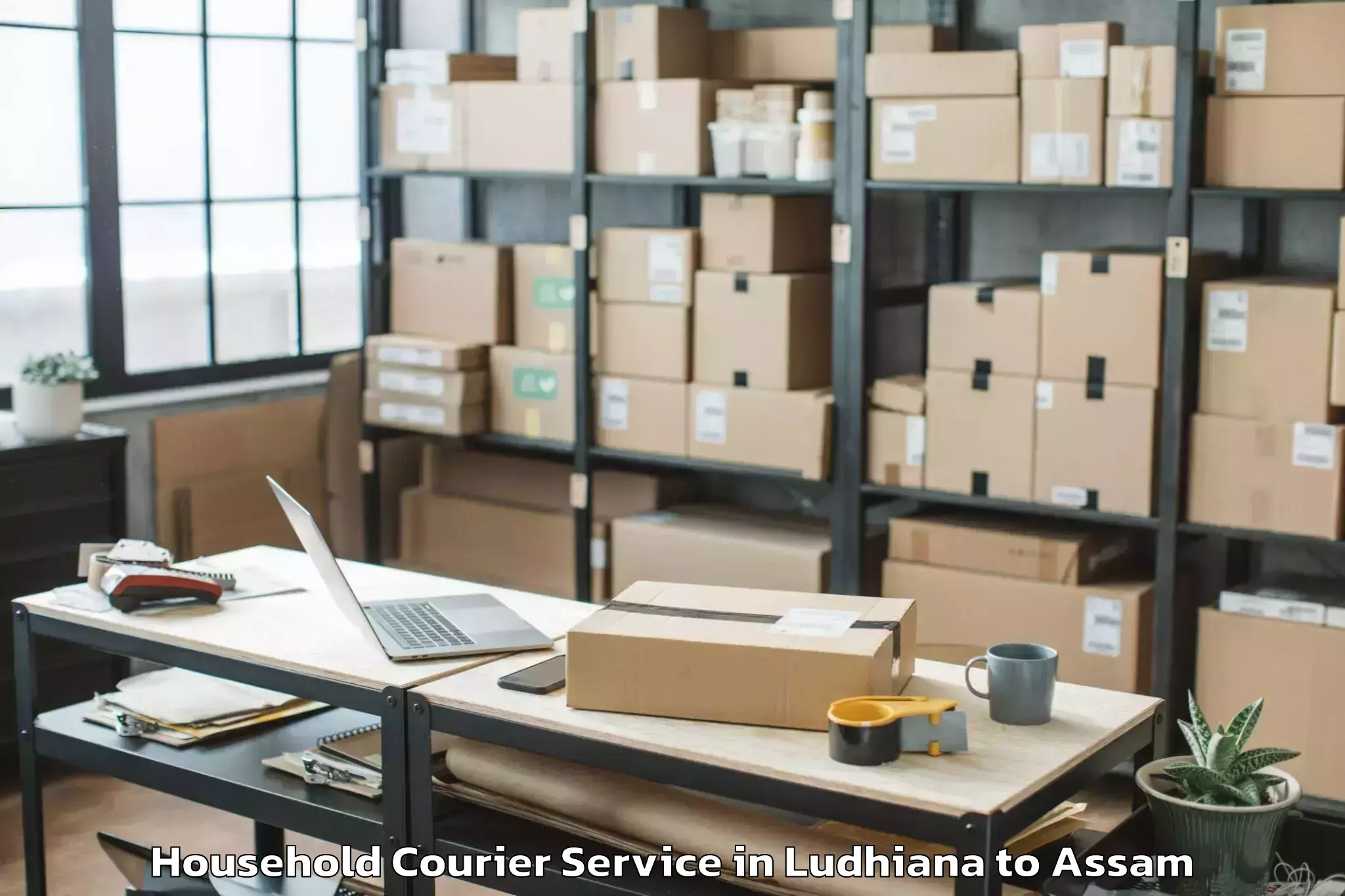 Professional Ludhiana to Rupai Siding Household Courier